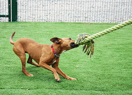 A Happy Pet - Happy Kingsize Tug Rope houdt een hond bezig en helpt zijn tanden gezond te houden tijdens het spelen.