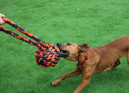 Een gelukkig huisdier - Nuts For Knots Extreme Tugger-hond speelt met een touw.