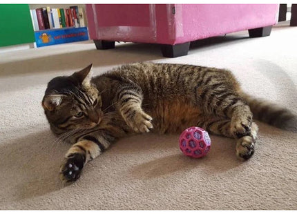 JW -  Cataction Rattle Ball