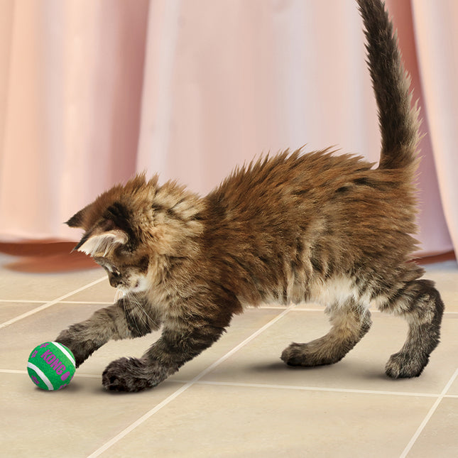 Een kat speelt met Kong - Actieve Tennisballen met Belletjes speelgoedbal.