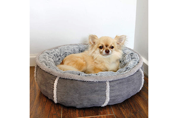 Een pluche chihuahuahond rustend in een palissanderhout - Hondenmand Pluche Donut.