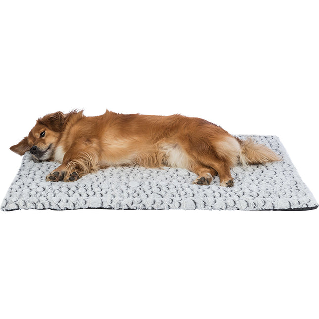 Een bruine hond, Ligmat Mila, liggend op een witte mat, Ligmat.