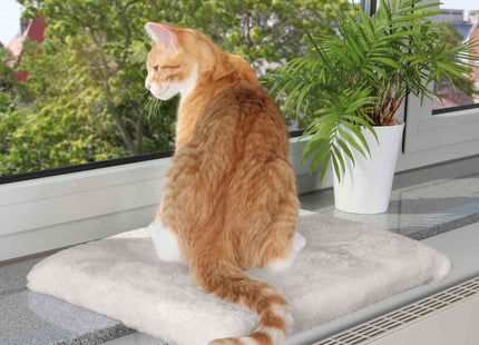 Een kat genaamd Trixie zittend op een Trixie - Ligplateau voor Vensterbank, met een plant op de achtergrond.