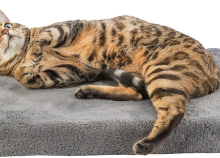 Een Bengaalse kat die op een grijs kussen rust en het comfort van de Trixie - Vitaal Matras Lonni laat zien.